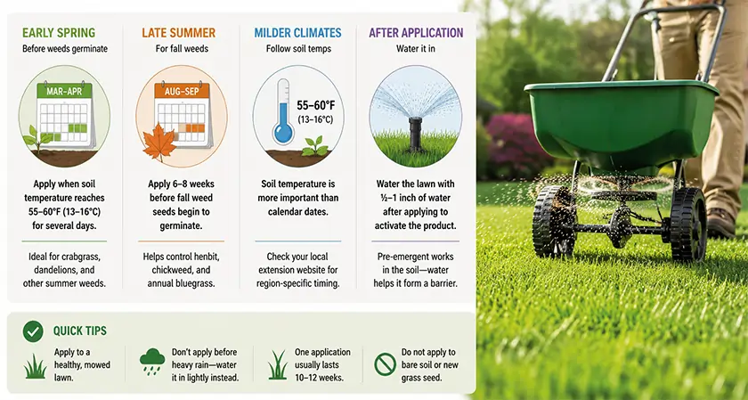 When to Apply Pre Emergent Fertilizer